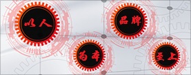 關(guān)于中審華